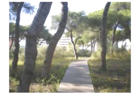 ANDALUCIA, ISLA CRISTINA (HUELVA) P... — photo 2
