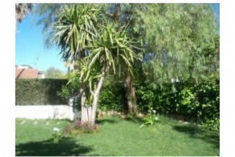 Chalet de 325metros cuadrados con p... — photo 2
