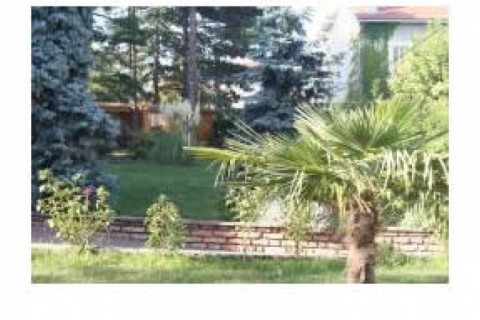 Villa sur 1000 m² de terrain arbor... — photo 2