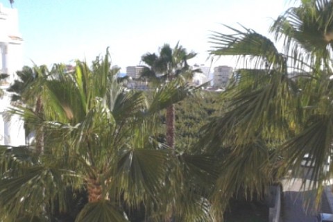 Apartamento en Costa Tropical Almuñecar — photo 11