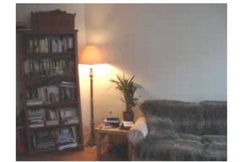 Beau duplex sur le bois avec petit ... — photo 2