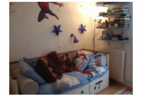 Beau duplex sur le bois avec petit ... — photo 3