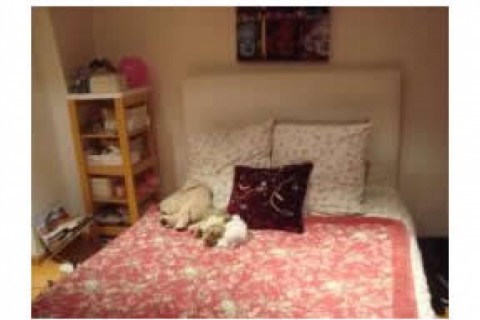 Beau duplex sur le bois avec petit ... — photo 4