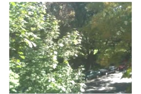 In a hip nice and calm neigborhood ... — photo 10