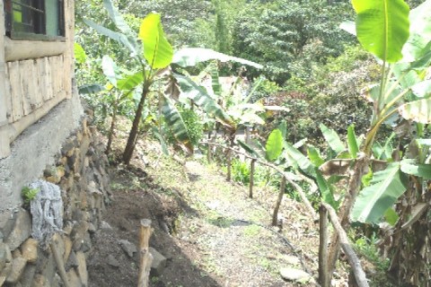 pance town house in Cali Colombia — photo 3