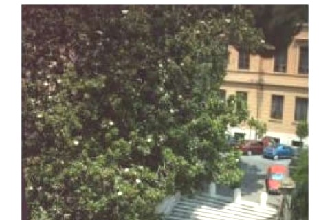 Apartment in the center of Rome — photo 5