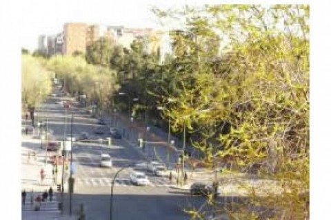 Un piso agradabe y muy luminoso, co... — photo 3