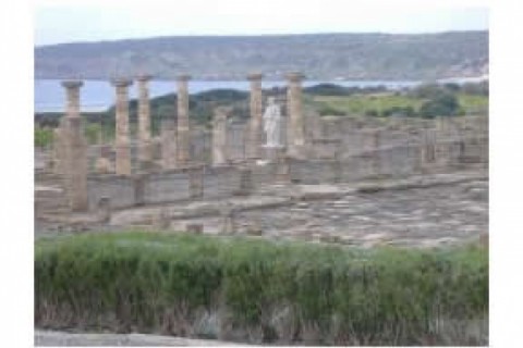 Piso amueblado completo, con vitroc... — photo 11