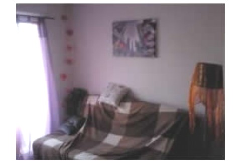 Appartement Type T2 : chambre, salo... — photo 2