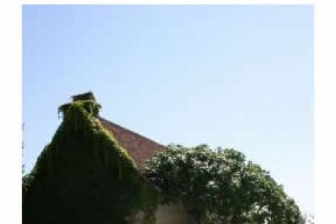 Maison de caractère indépendante ... — photo 3