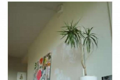 A light, airy flat with parquet flo... — photo 6