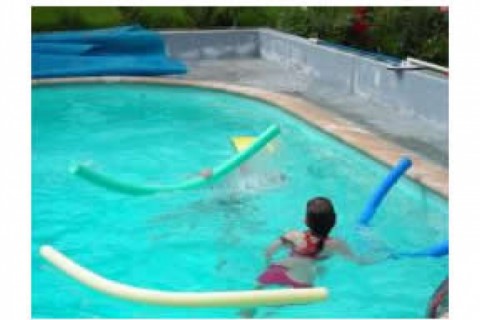 Big garden with a small swimming po... — photo 2