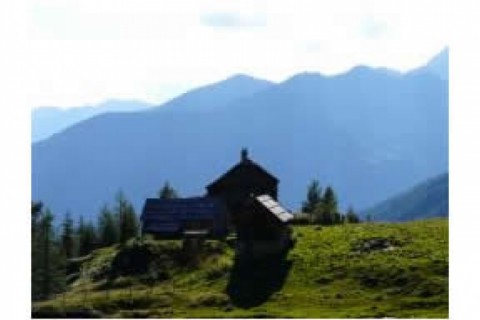 Das Appartment liegt mitten im Orts... — photo 14