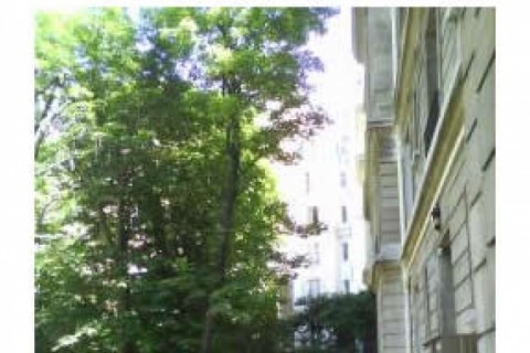 Appt lumineux dans Paris — photo 5