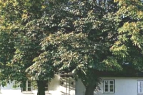 Maison en Allemagne — photo 6