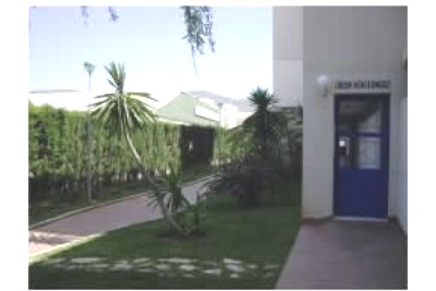 Soy profesor de la universidad de G... — photo 6