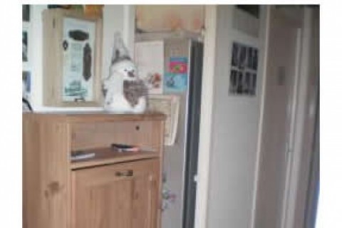 Appartement de 55 m2 avec beau balc... — photo 6