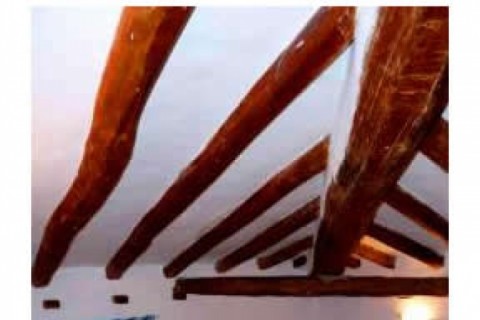 La casa es muy grande, podrían viv... — photo 10