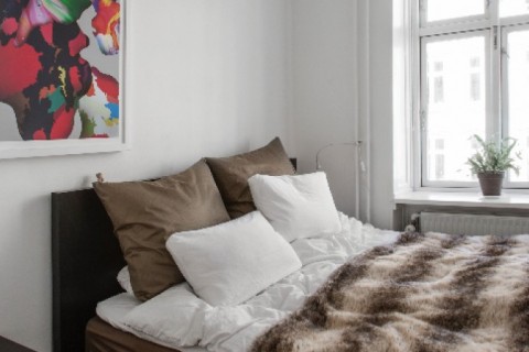 Very central in Copenhagen — photo 7