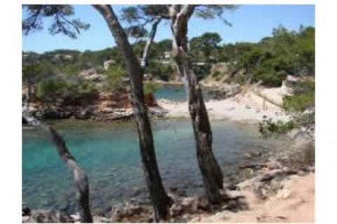 Petite villa 37 m2 dans copropriete... — photo 5
