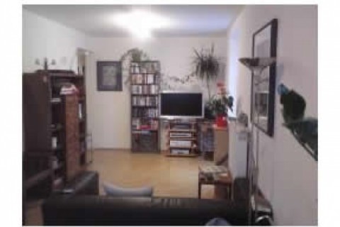 Die Wohnung (Erstbezug) befindet si... — photo 8
