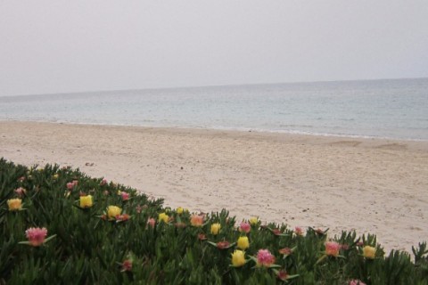 Bord plage, quartier calme, sousse ... — photo 7