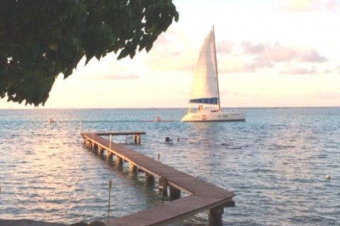 Moorea, ile soeur de Tahiti Bord de mer.. — photo 3