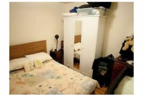 A comfortable junior one bedroom apartment — photo 4
