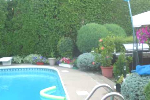 Belle maison proche de Montreal — photo 6