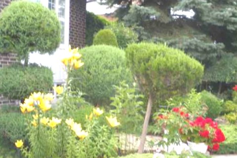 Belle maison proche de Montreal — photo 10