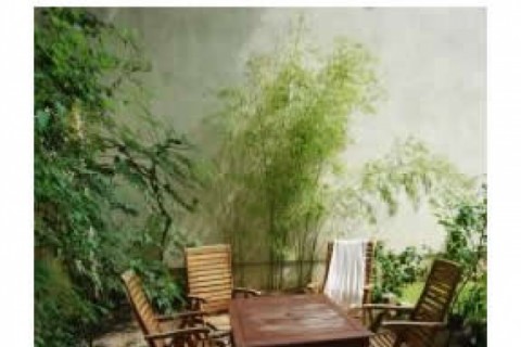 Small but beautiful apartment in Be... — photo 7