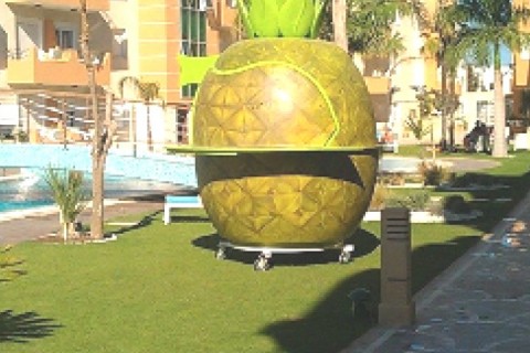 Studio residence luxieuse The Dunes Golf and Spa resort 4* — photo 17