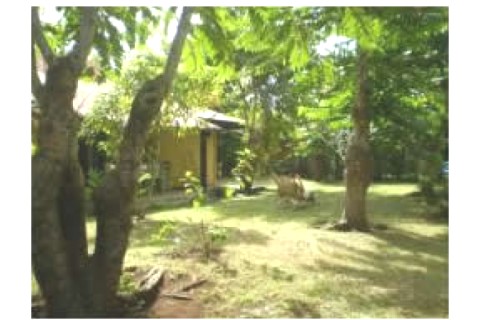 Jolie maison T3, Mayotte — photo 12