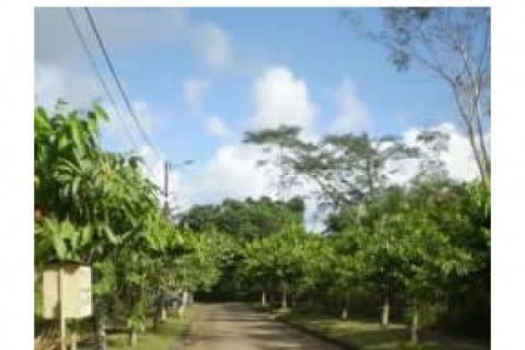 Jolie maison T3, Mayotte — photo 14