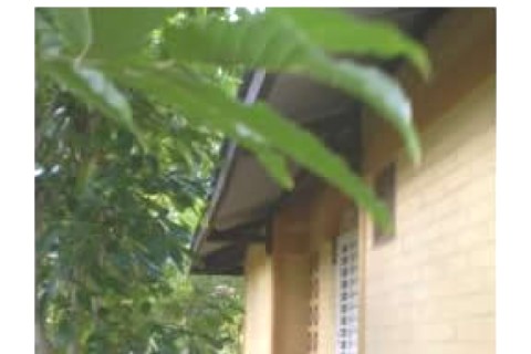 Jolie maison T3, Mayotte — photo 9