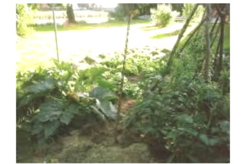 Petite maison située au bord d'une... — photo 2