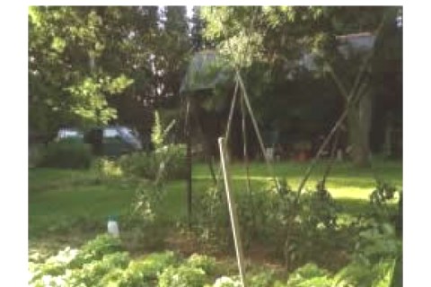 Petite maison située au bord d'une... — photo 10