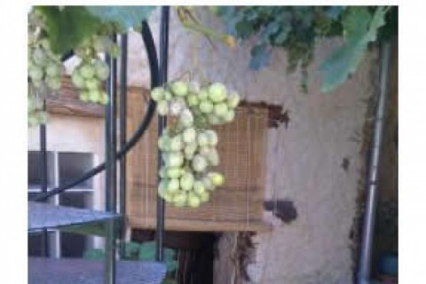 Apartamento con terraza, jardín en... — photo 3