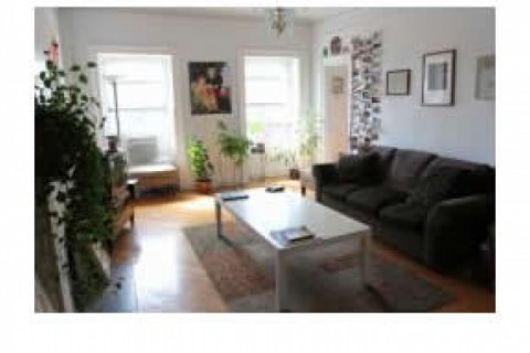 Apartment in Fort Greene — photo 4