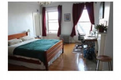 Apartment in Fort Greene — photo 8