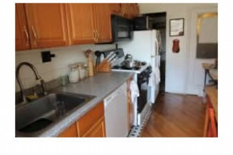Apartment in Fort Greene — photo 12