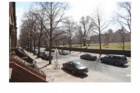 Apartment in Fort Greene — photo 14