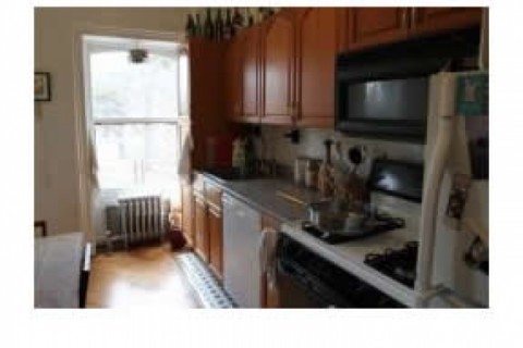 Apartment in Fort Greene — photo 11