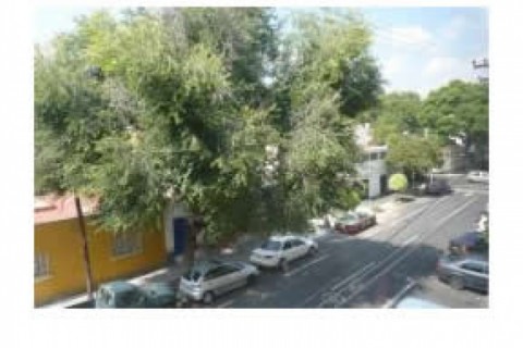 Very nice flat in the heart of the ... — photo 10