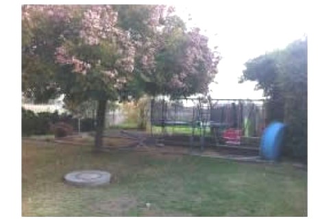 Amazing rural apartment 15 minutes ... — photo 2