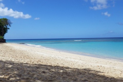 Appt avec vue sur la mer aux Barbades — photo 7
