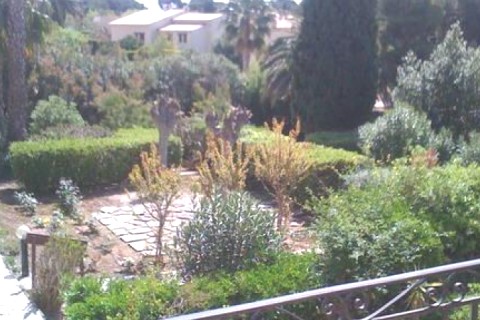 Appt à Carqueiranne — photo 2