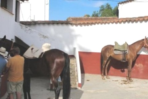 Grande maison en Andalousie — photo 14