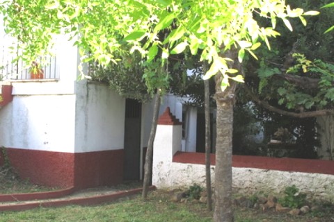 Grande maison en Andalousie — photo 12