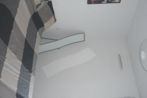 Appt avec terrasse à Toulouse — photo 5